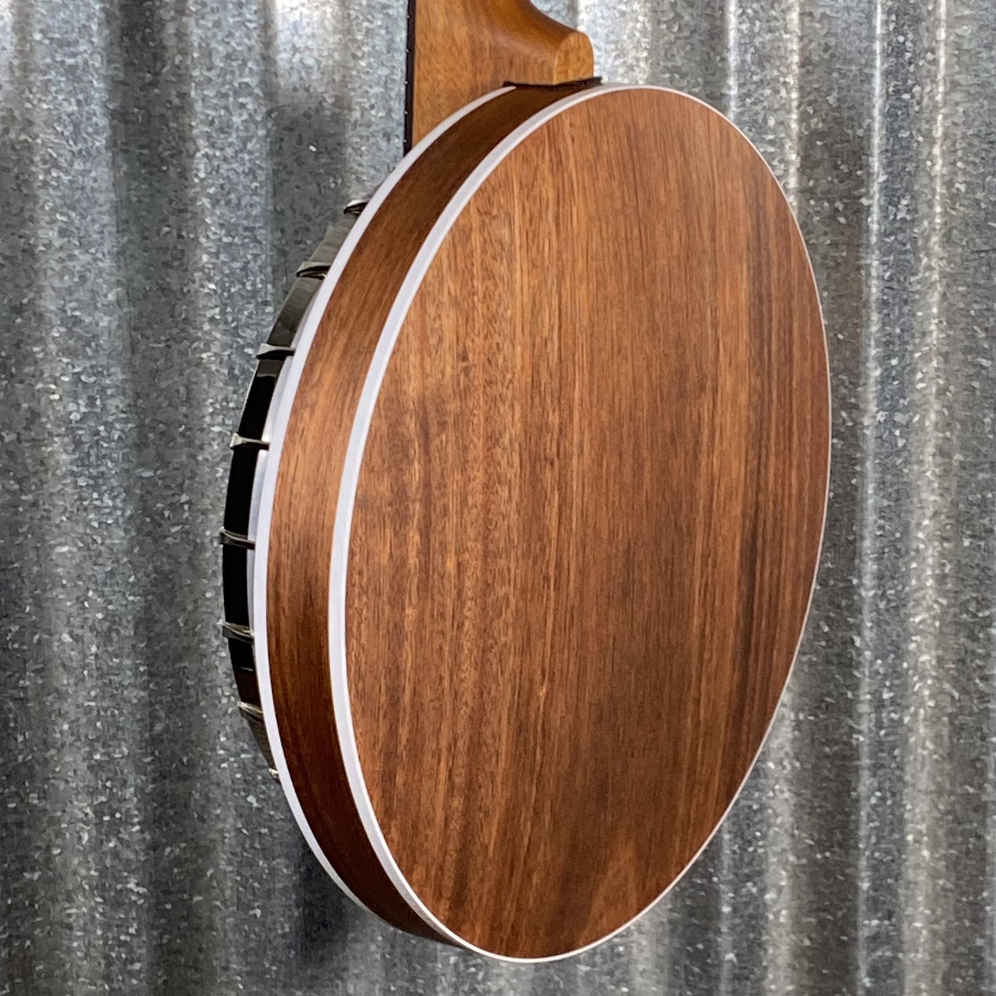 Deering B-6 AE Boston 6 String Acoustic Electric Banjo & Case #56807