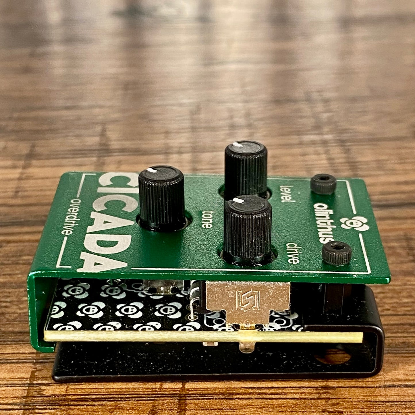 Olinthus Cicada Overdrive World's Smallest Guitar Effect Pedal Used