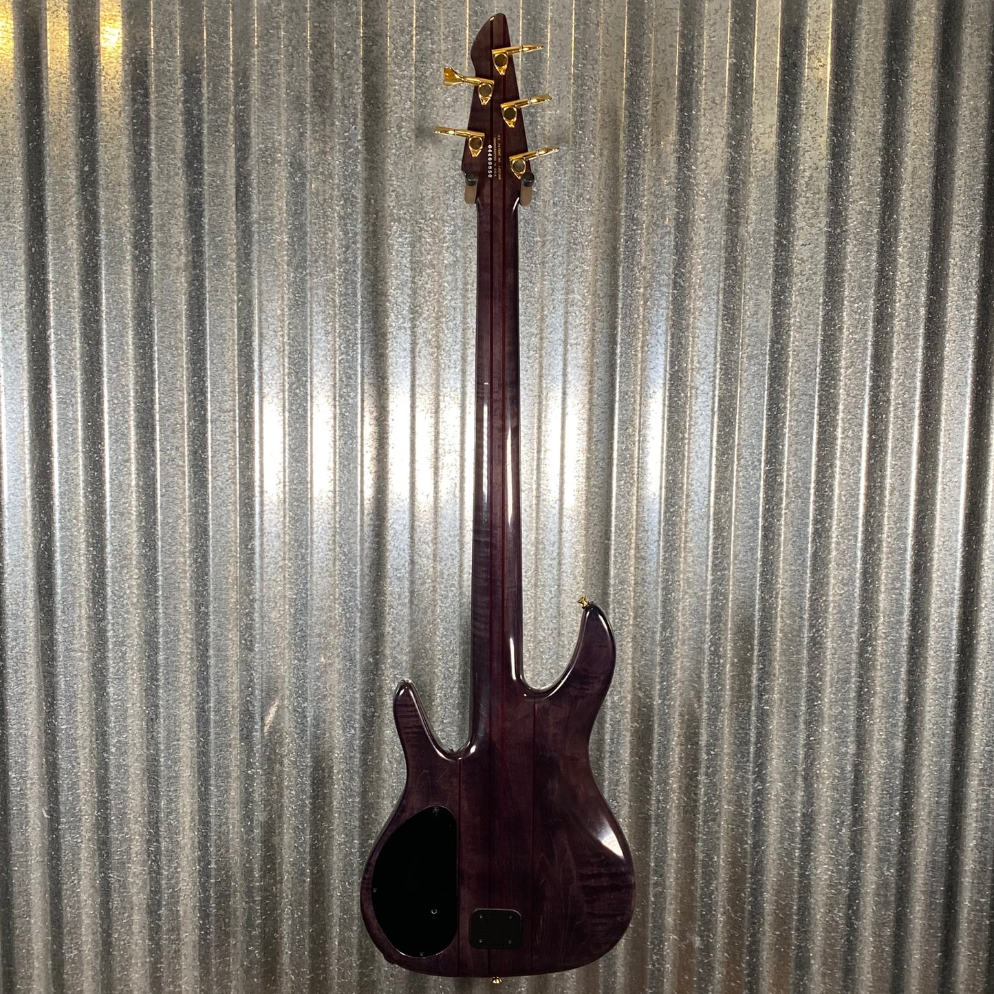 Peavey USA TL5 5 String Neck Through Bass Transparent Black & Case #9850 Used