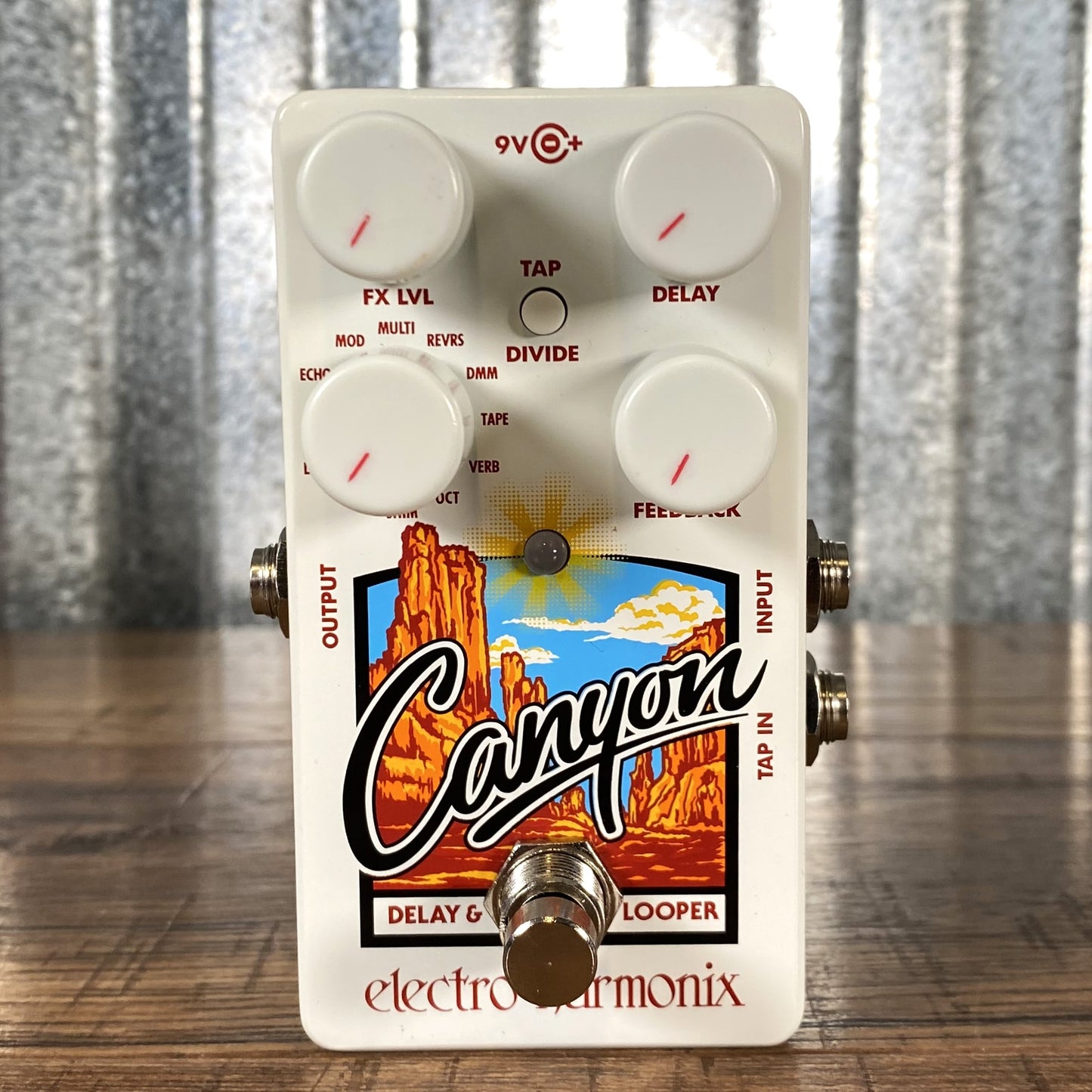 Electro-Harmonix EHX Canyon Delay & Looper Guitar Effect Pedal & AC Adapter Demo