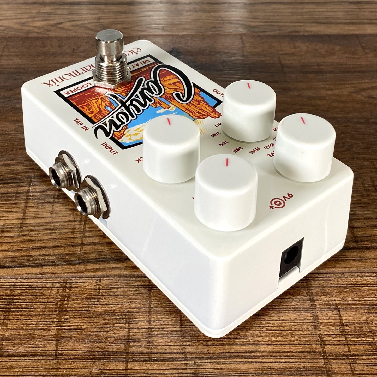 Electro-Harmonix EHX Canyon Delay & Looper Guitar Effect Pedal & AC Adapter Demo