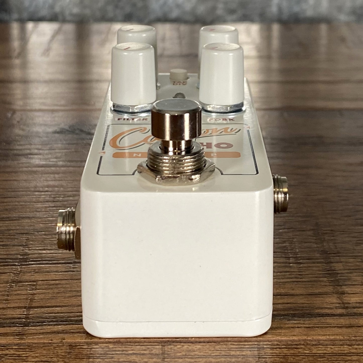 Electro-Harmonix EHX Pico Canyon Echo Digital Delay Demo