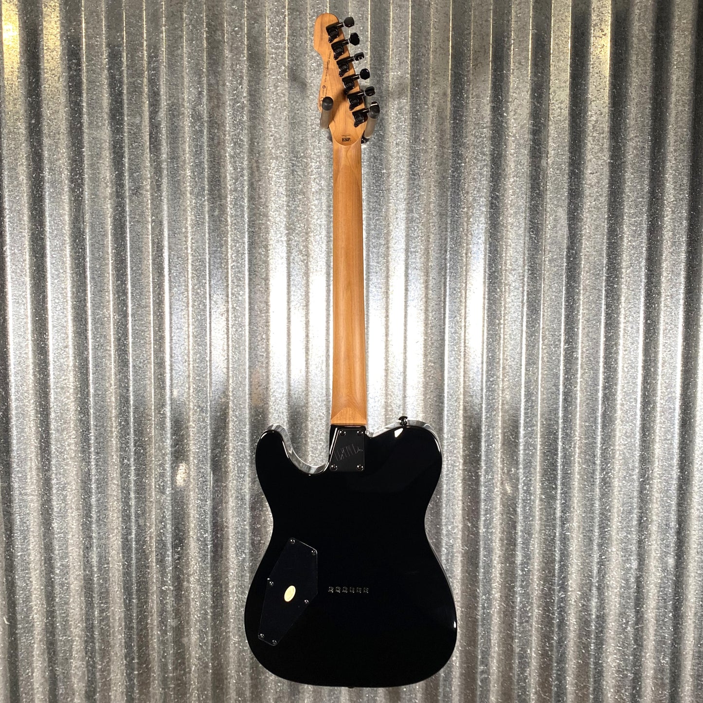 ESP LTD TE-200DX Transparent Purple Burst Electric Guitar LTE200DXPRB #1406