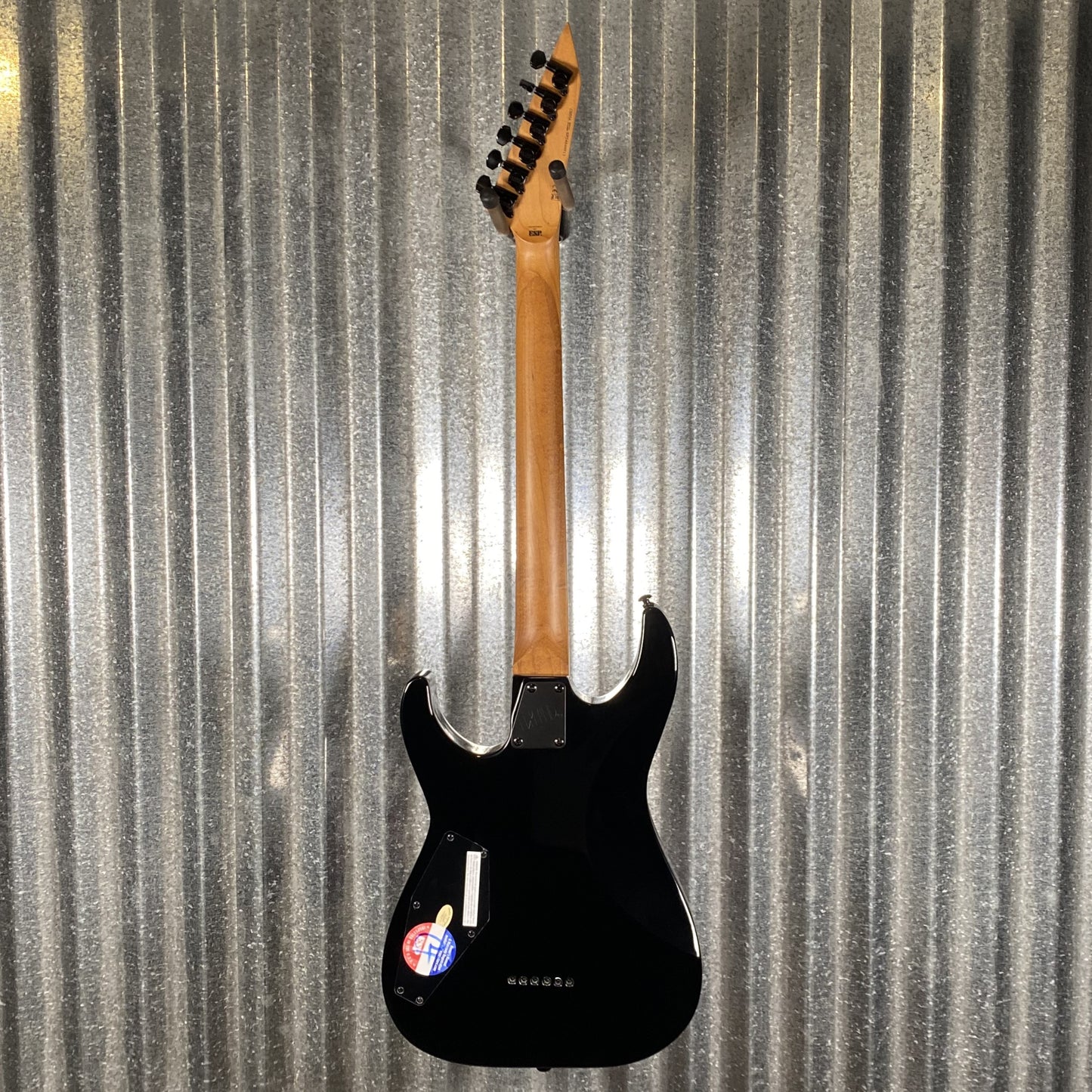 ESP LTD M-200DX Transparent Purple Burst Electric Guitar LM200DXNPRB #0913