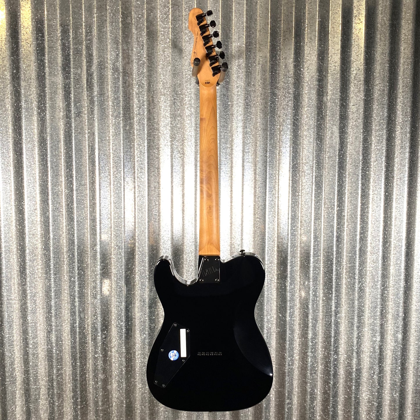 ESP LTD TE-200DX Transparent Blue Burst Electric Guitar LTE200DXBLB #1433