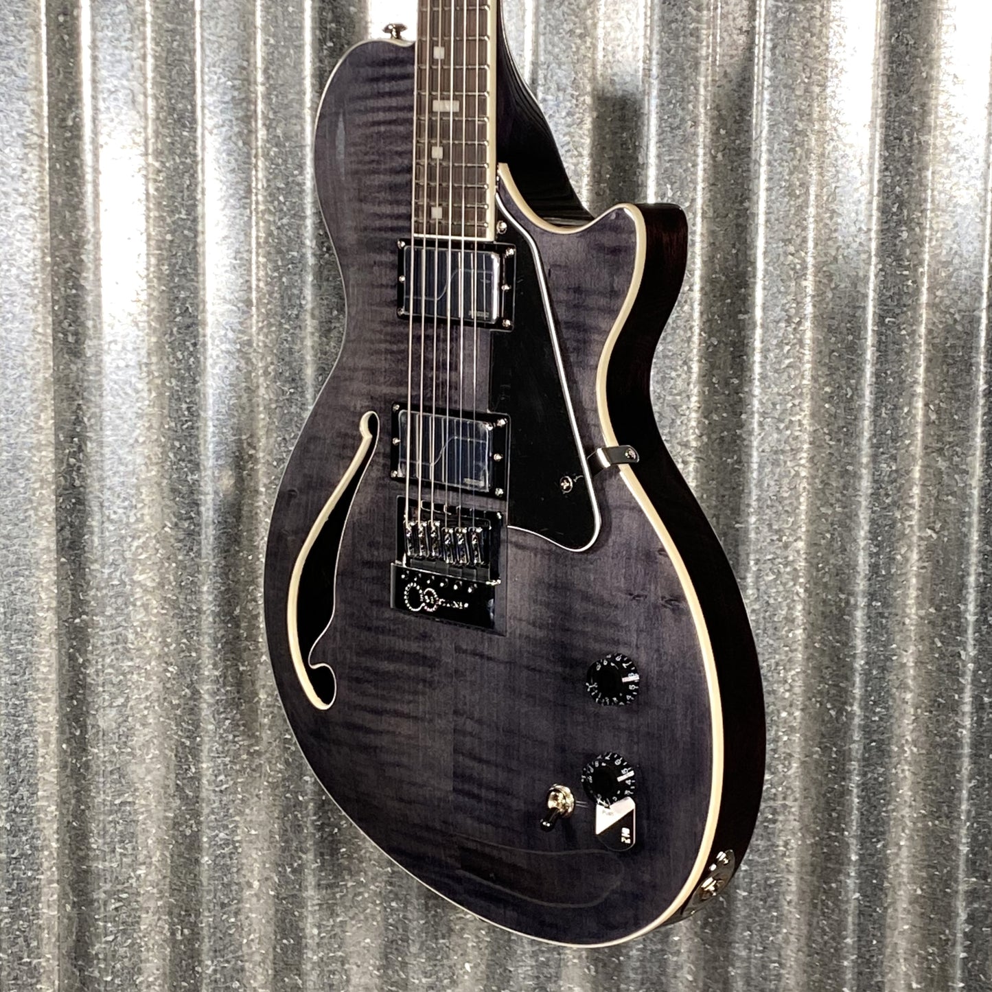 ESP LTD BW-1 Ben Weinman X-Tone Evertune See Through Black Guitar & Case #0401 Used