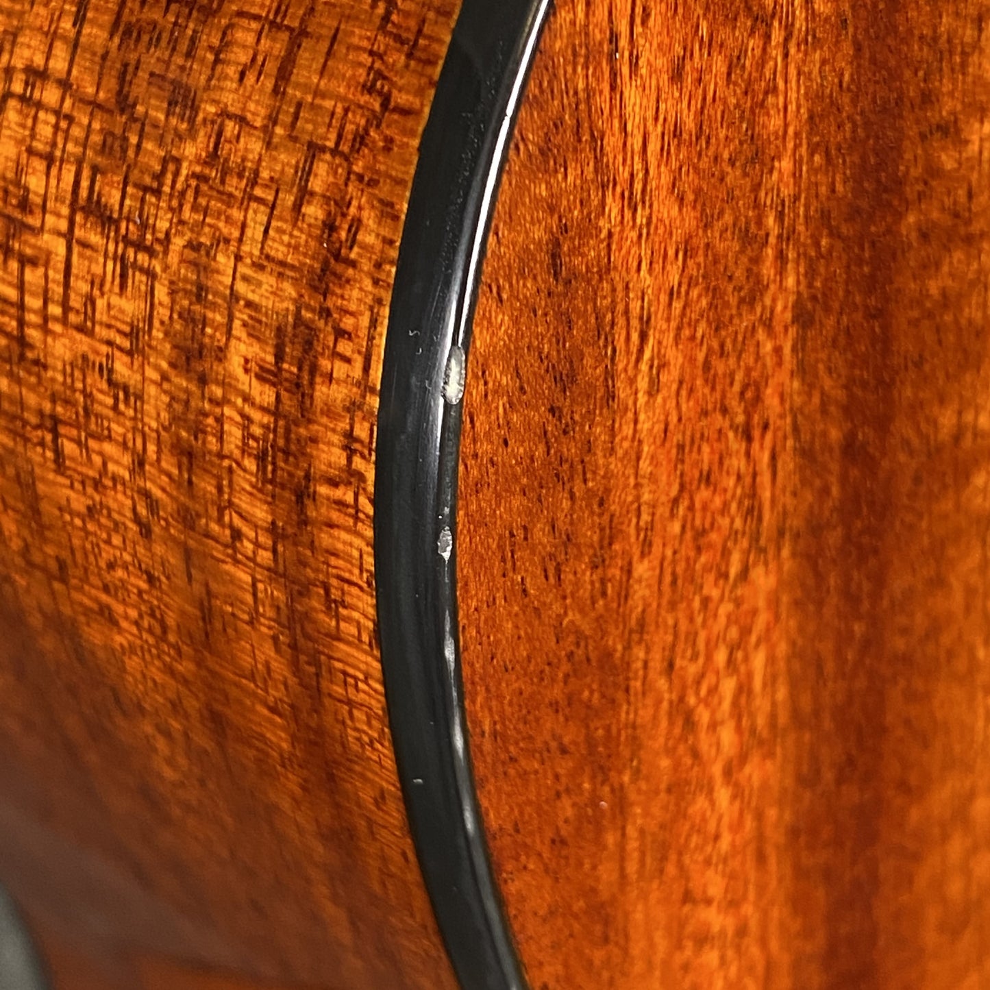 Alvarez RF8 Spruce Top Acoustic Guitar & Case #0176 Used