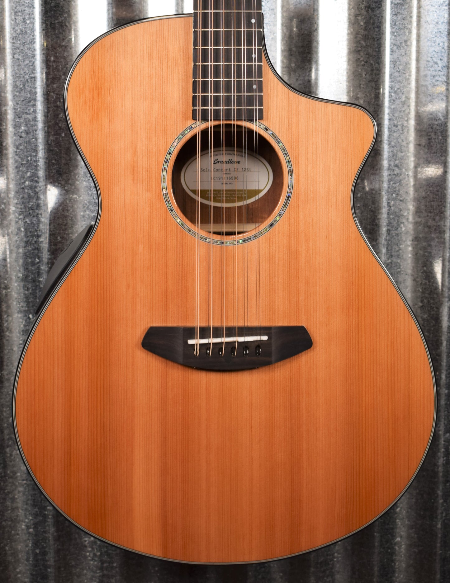 Breedlove Solo Concert 12 String CE Acoustic Electric Guitar & Bag #6596