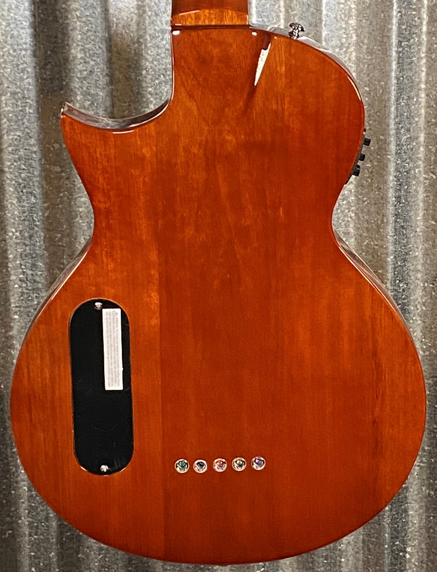 ESP LTD TL-5 Spalted Maple Thinline 5 String Acoustic Electric Bass LTL5SMNAT #0942