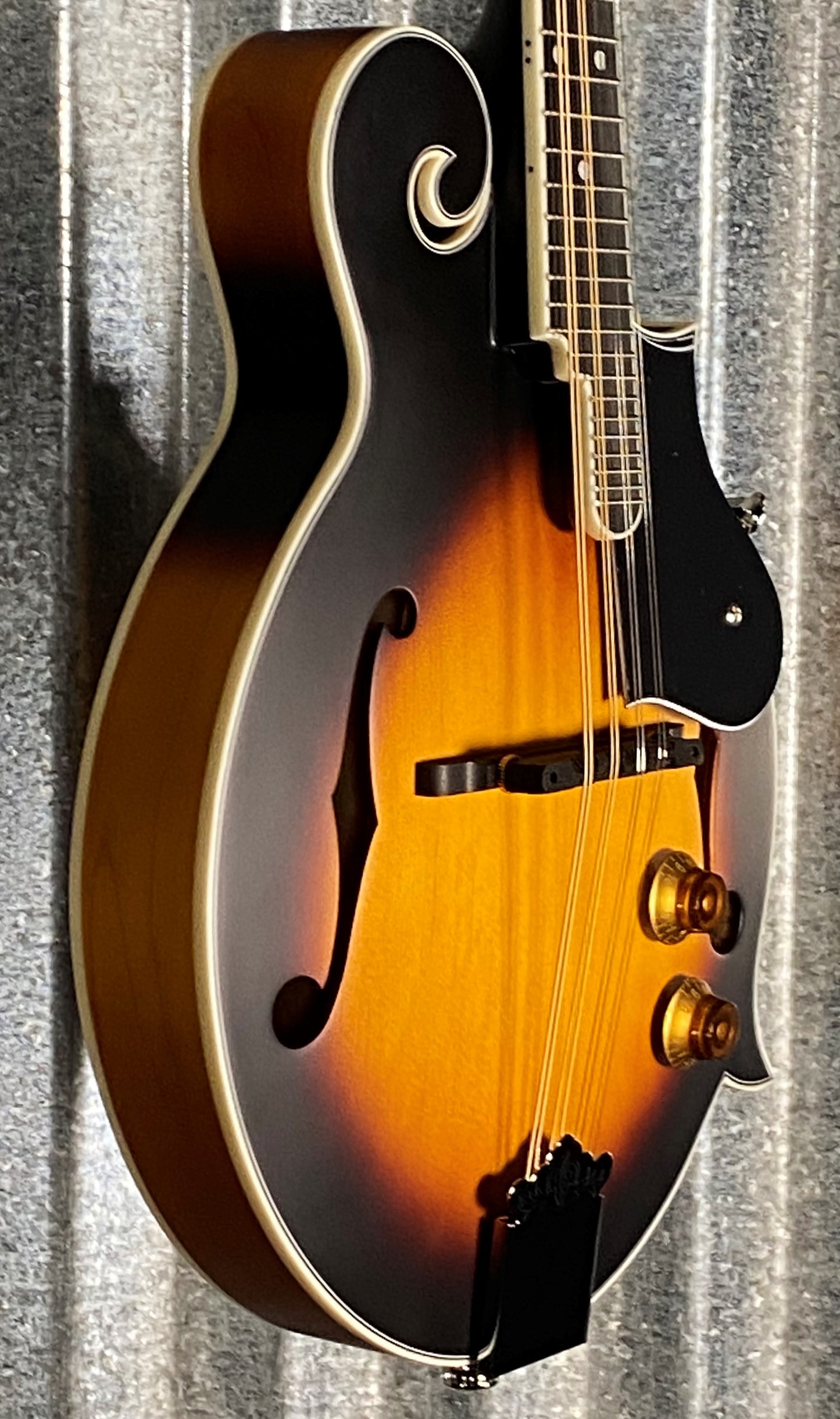 Washburn M3EK Mandolin Pack with Tuner Picks Straps & Bag M3EK-A-U #5631