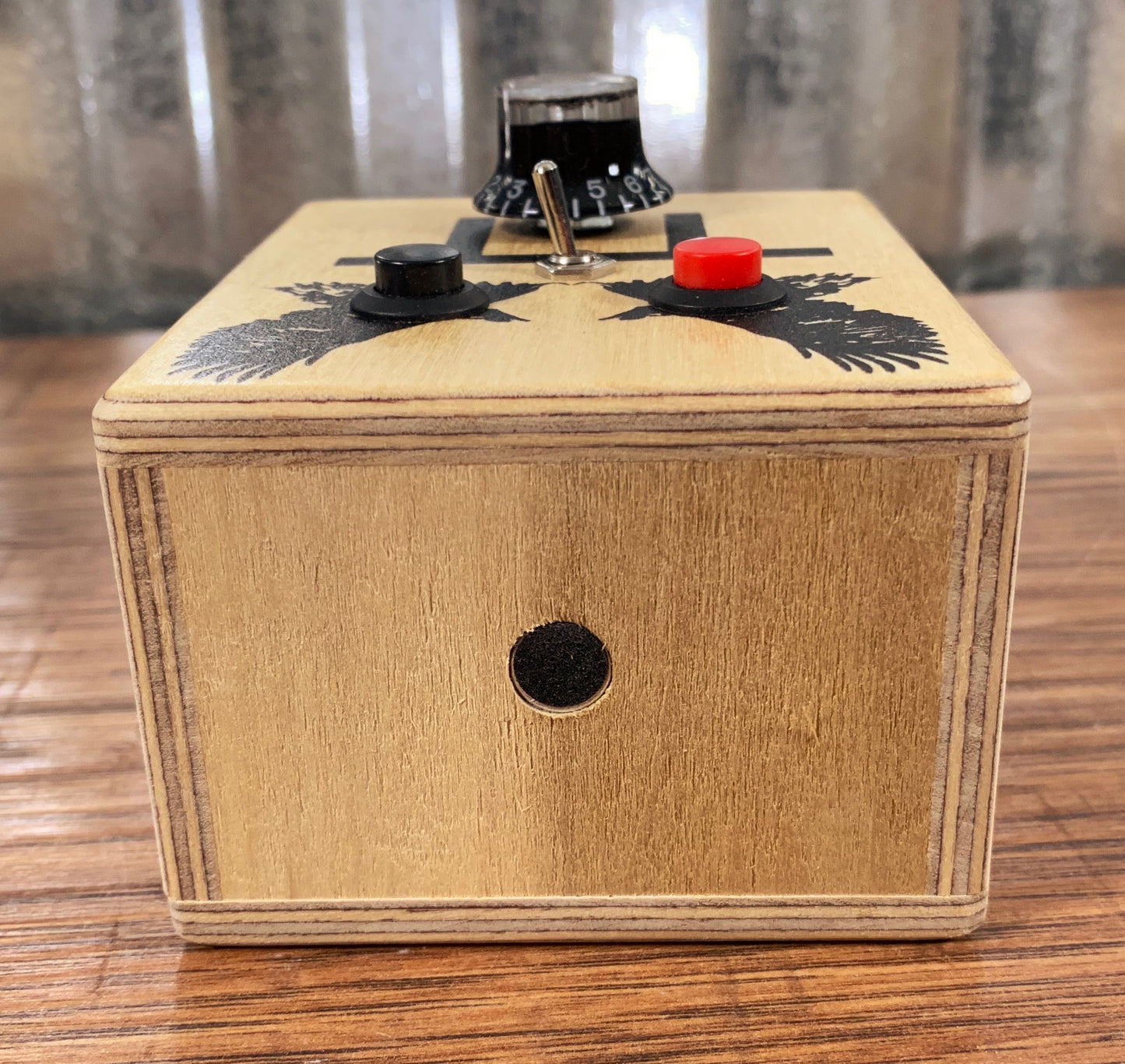 Brandnewnoise Special Edition Tedeschi Trucks Band Sound Sampler Looper Recorder with Pitch Control Effect Box