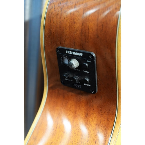 Washburn WCG15CE Comfort Series Acoustic Electric Guitar & Case #0350