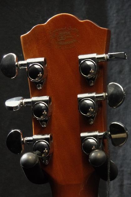Washburn WF5K Premium Top Folk Acoustic Guitar & Hardshel Case #0694
