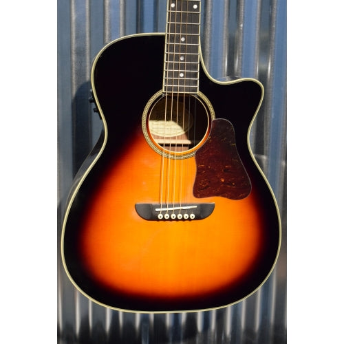 レア アコースティックギター ワッシュバーン Washburn HB-36 Vintage