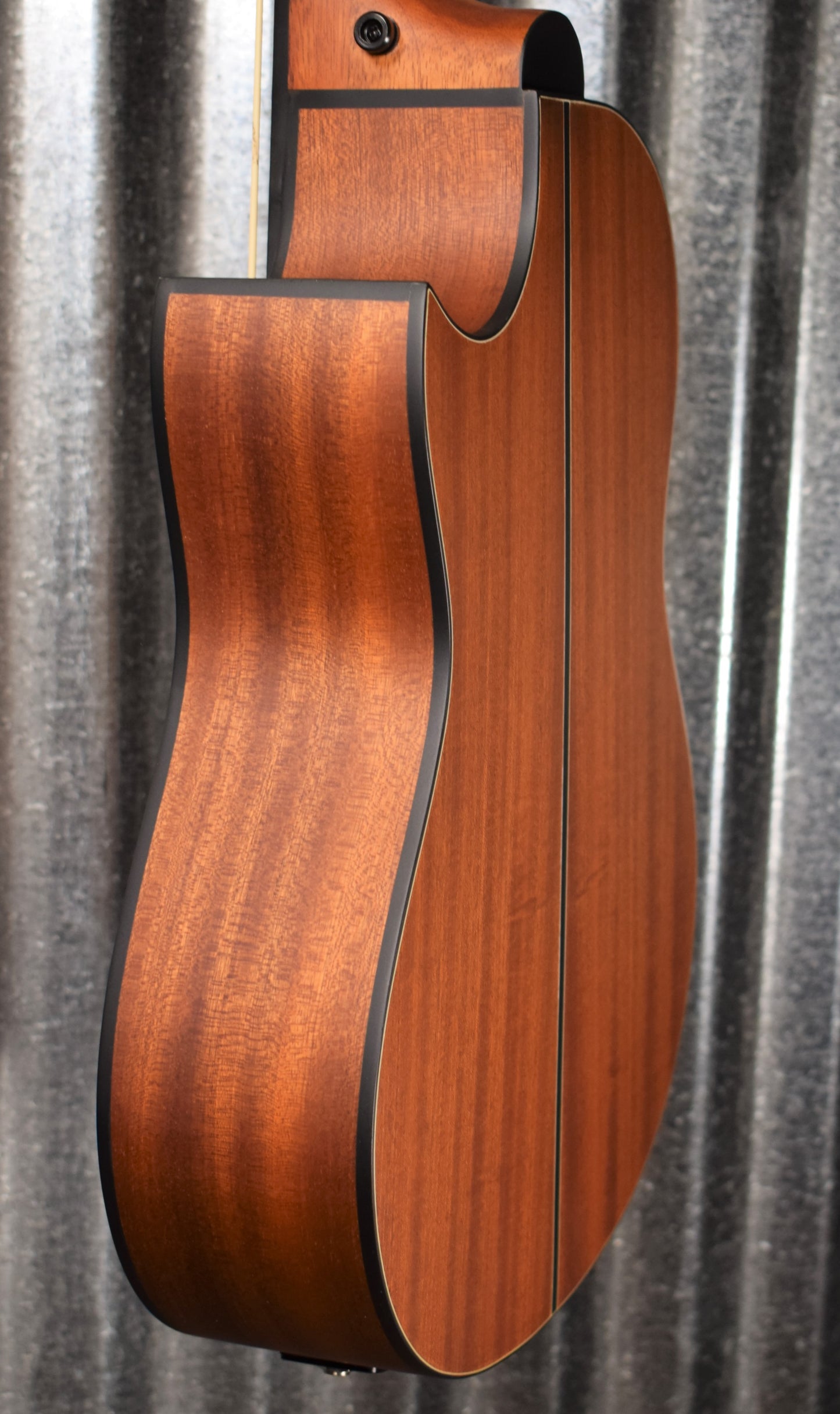 Ortega Lizzy Pro Acoustic Electric Lined Fretless Ukulele U Bass & Bag #8210