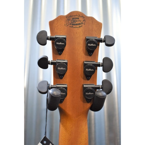 Washburn Guitars WLG26S Woodline Series Solid Cedar Top Acoustic Guitar Blem #133