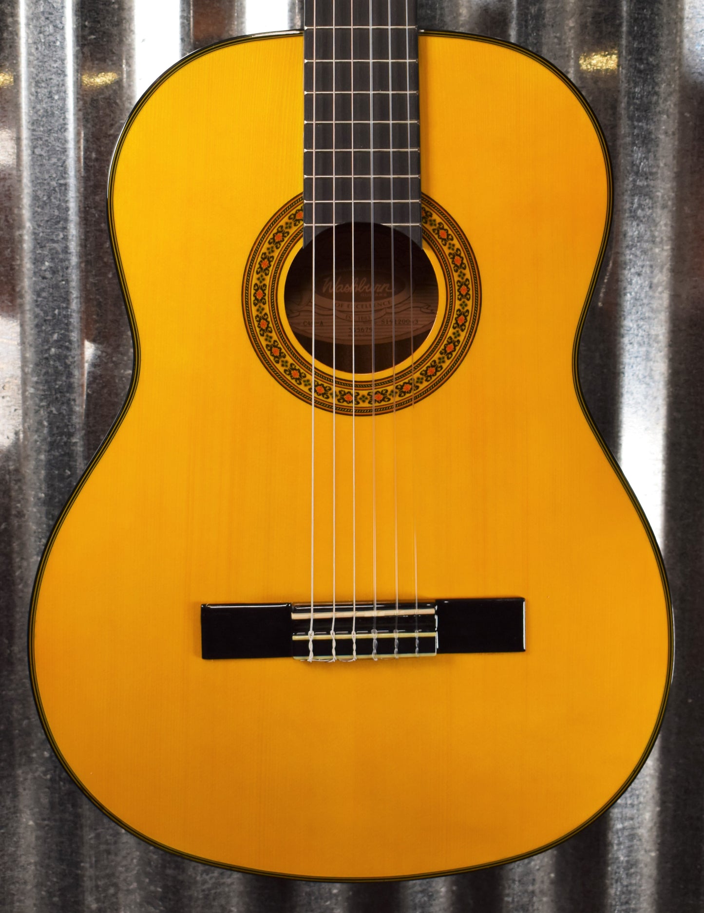 Washburn Guitars C40 Classical Nylon String Guitar & Bag #0043