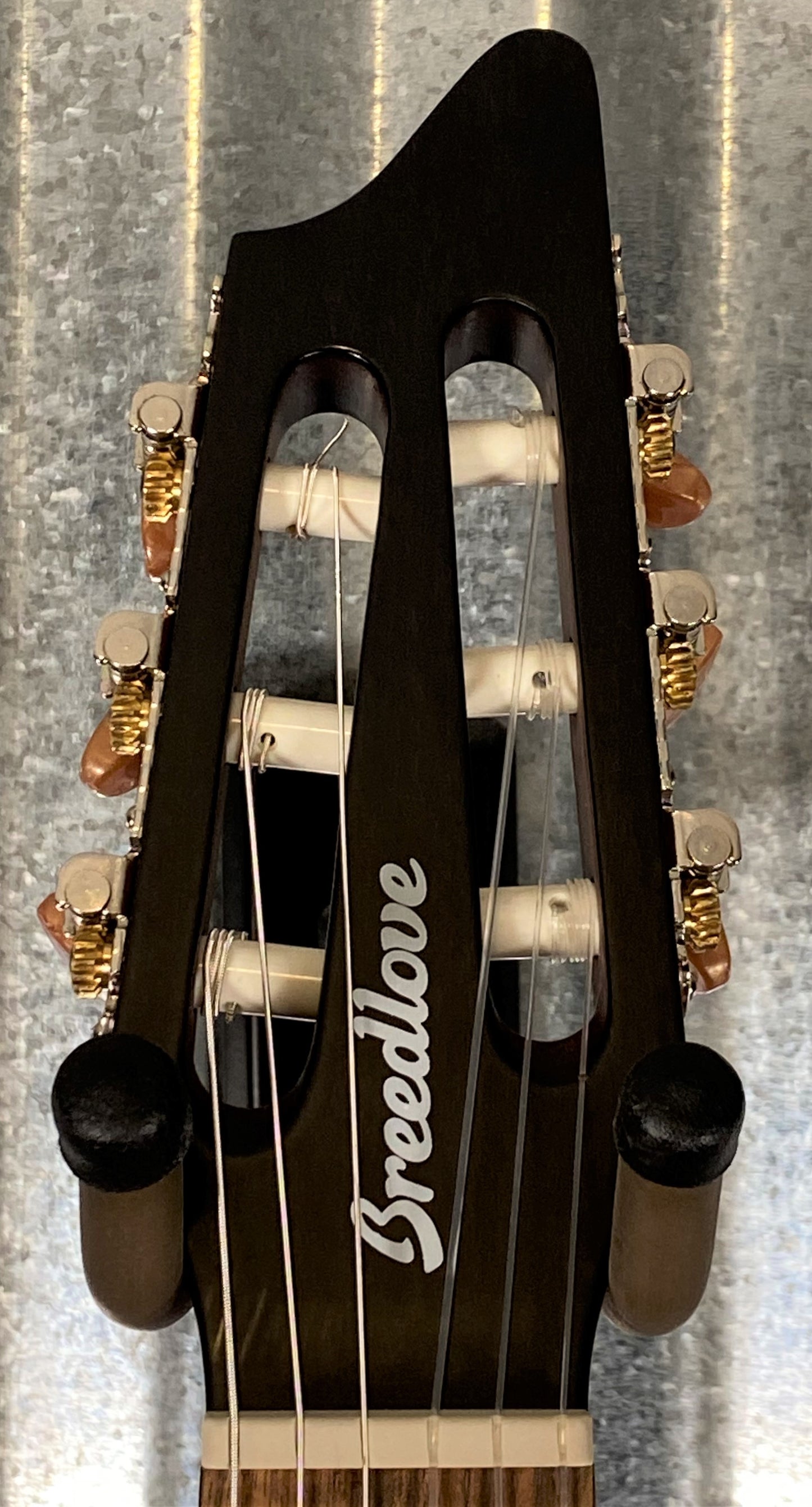 Breedlove Discovery S Concert Nylon CE Cedar Acoustic Electric Guitar DSCN01NCERCAM #3094