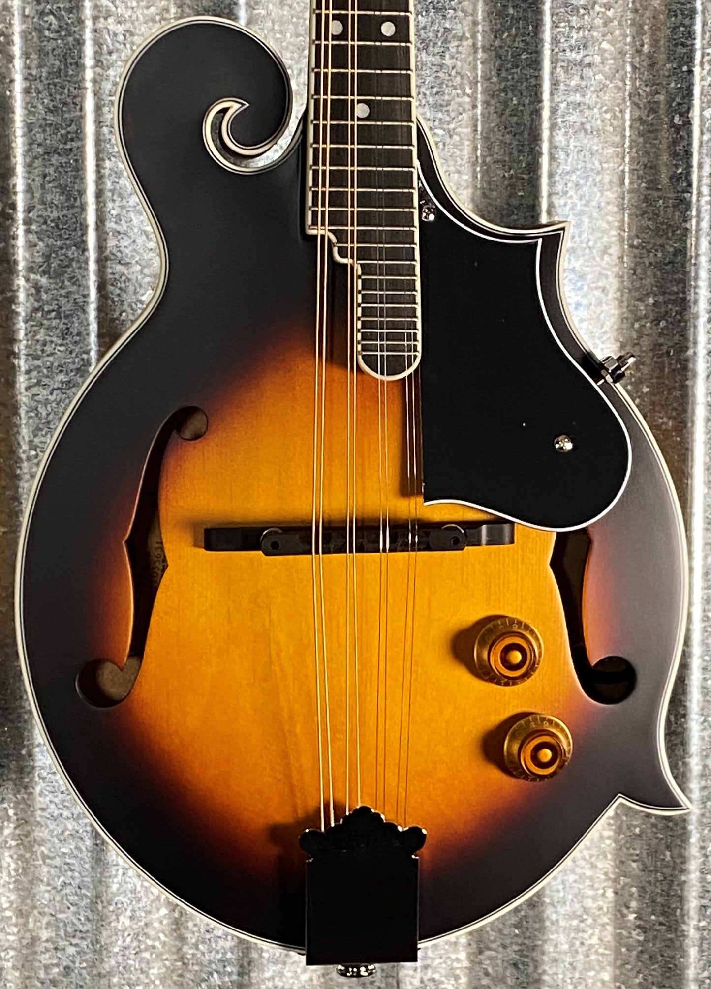 Washburn M3EK Mandolin Pack with Tuner Picks Straps & Bag M3EK-A-U #5631