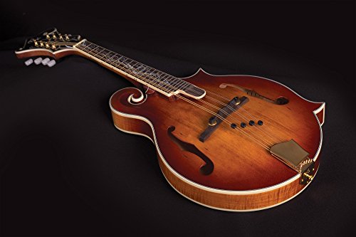 Michael Kelly MKLDFAVS Legacy Dragonfly Flame F Style Mandolin Blemish #0272