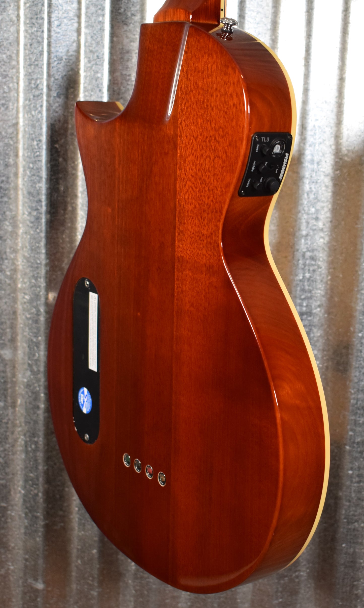 ESP LTD TL-4 Natural 4 String Thinline Acoustic Electric Bass & Case LTL4NAT #1385