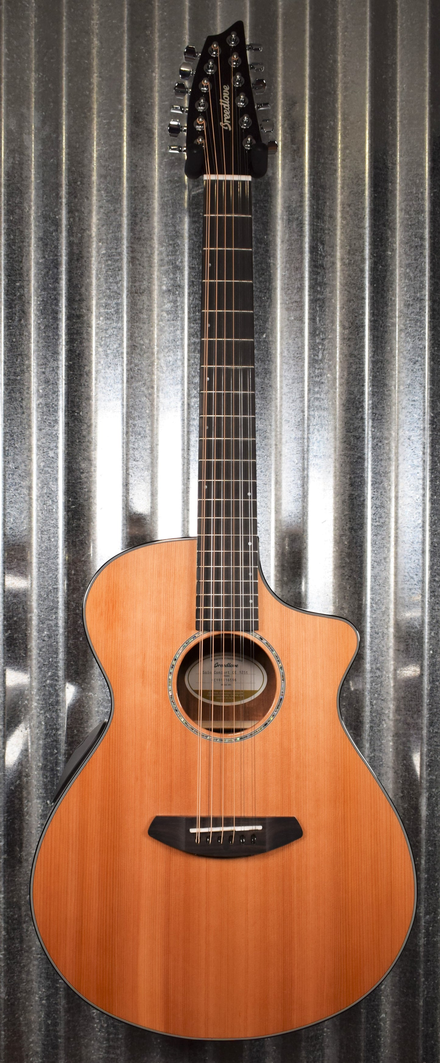 Breedlove Solo Concert 12 String CE Acoustic Electric Guitar & Bag #6596