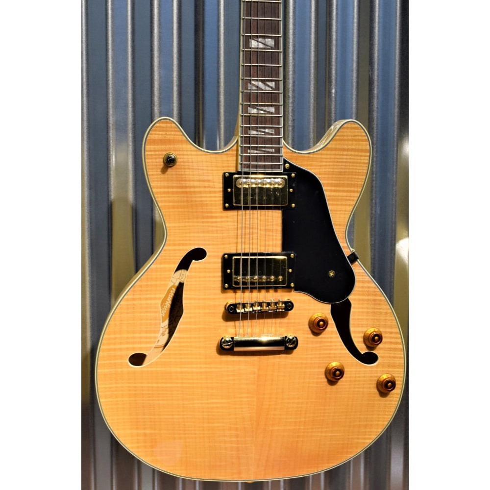 Washburn semi online hollow