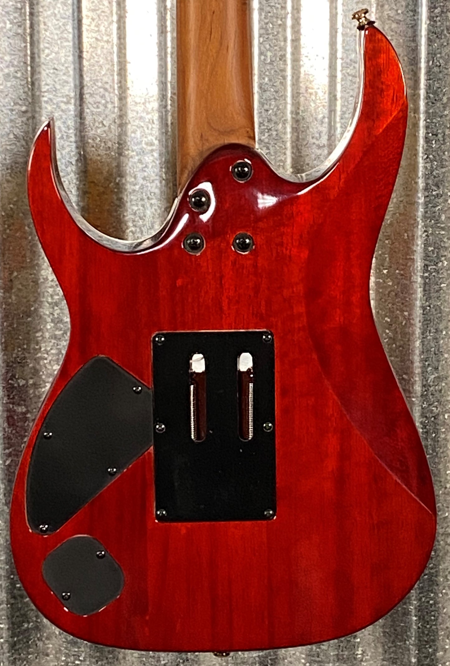 Ibanez RG420HPFM Flame Maple Roasted Neck DiMarzio Guitar & Bag #4900 Used