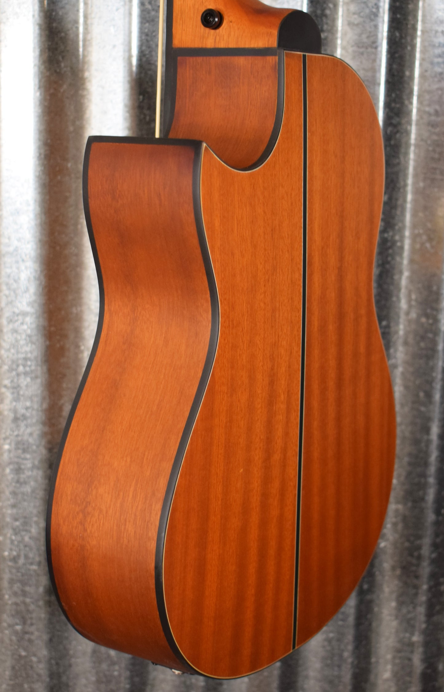 Ortega Lizzy Pro Acoustic Electric Fretless Ukulele U Bass & Bag #8215