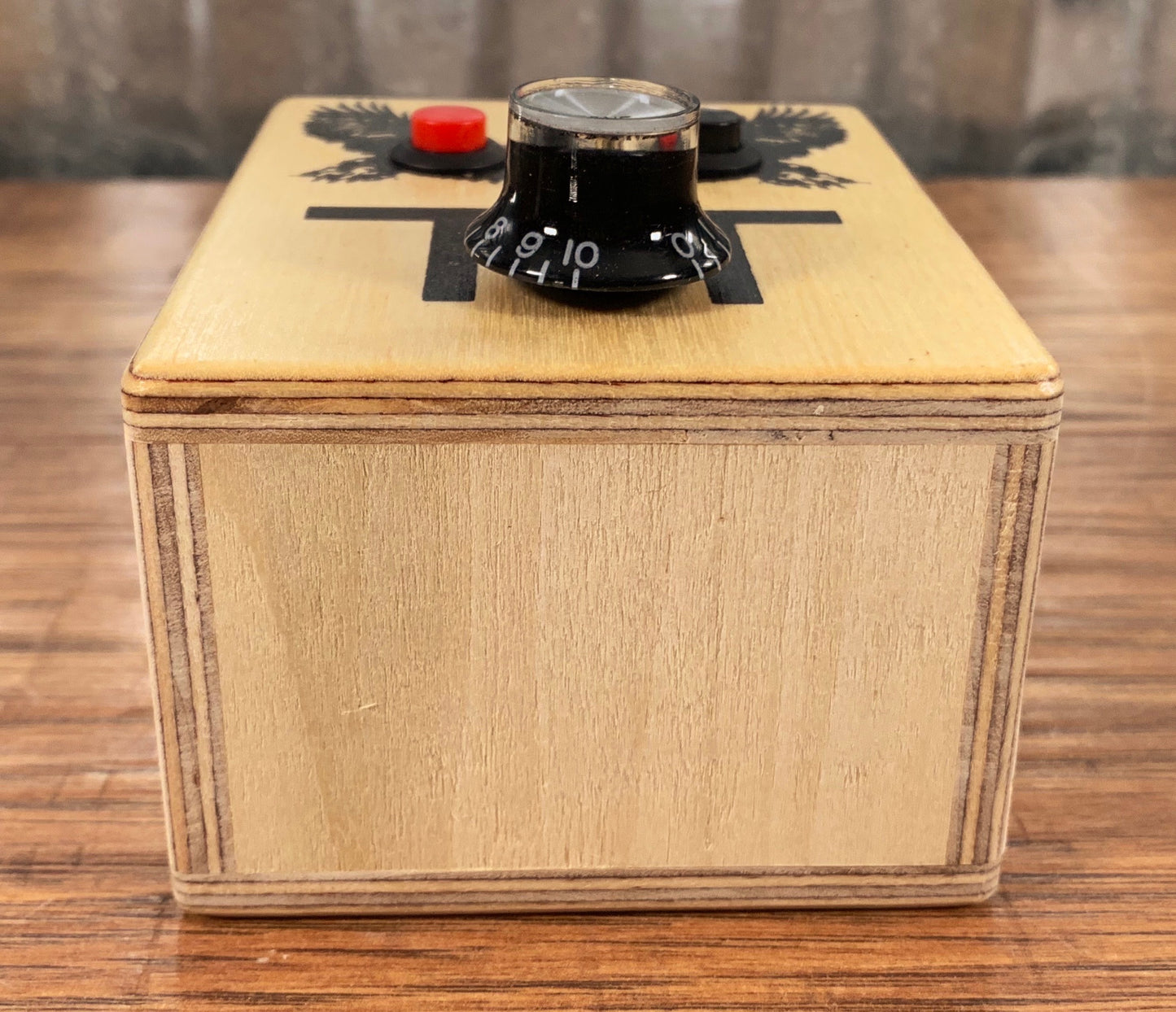 Brandnewnoise Special Edition Tedeschi Trucks Band Sound Sampler Looper Recorder with Pitch Control Effect Box