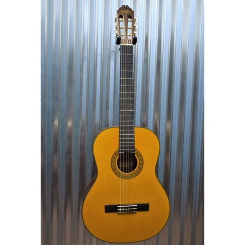 Washburn Guitars C40 Classical Nylon String Guitar & Gig Bag