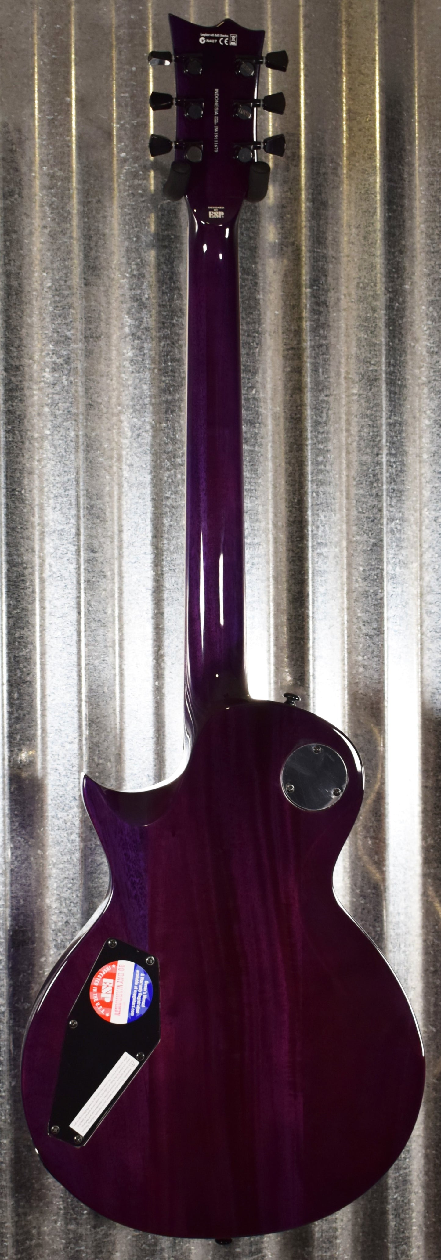 ESP LTD EC-1000 See Thru Purple Seymour Duncan Guitar EC1000FMSTP #1670 Demo