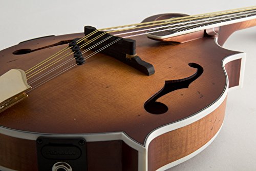 Michael Kelly MKLDFAVS Legacy Dragonfly Flame F Style Mandolin Blemish #0272