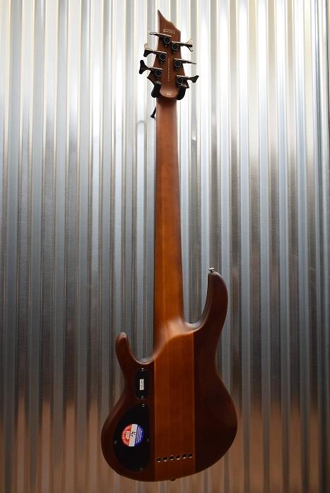 ESP LTD D-6 Six String Neck Through Bass Natural Satin Blem #1175