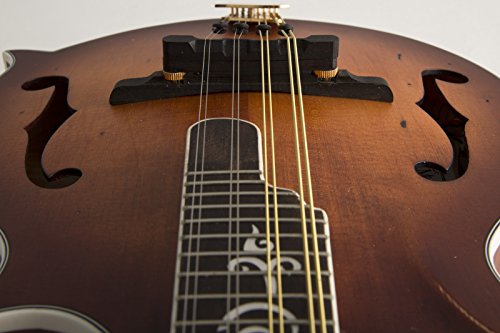 Michael Kelly MKLDFAVS Legacy Dragonfly Flame F Style Mandolin Blemish #0145
