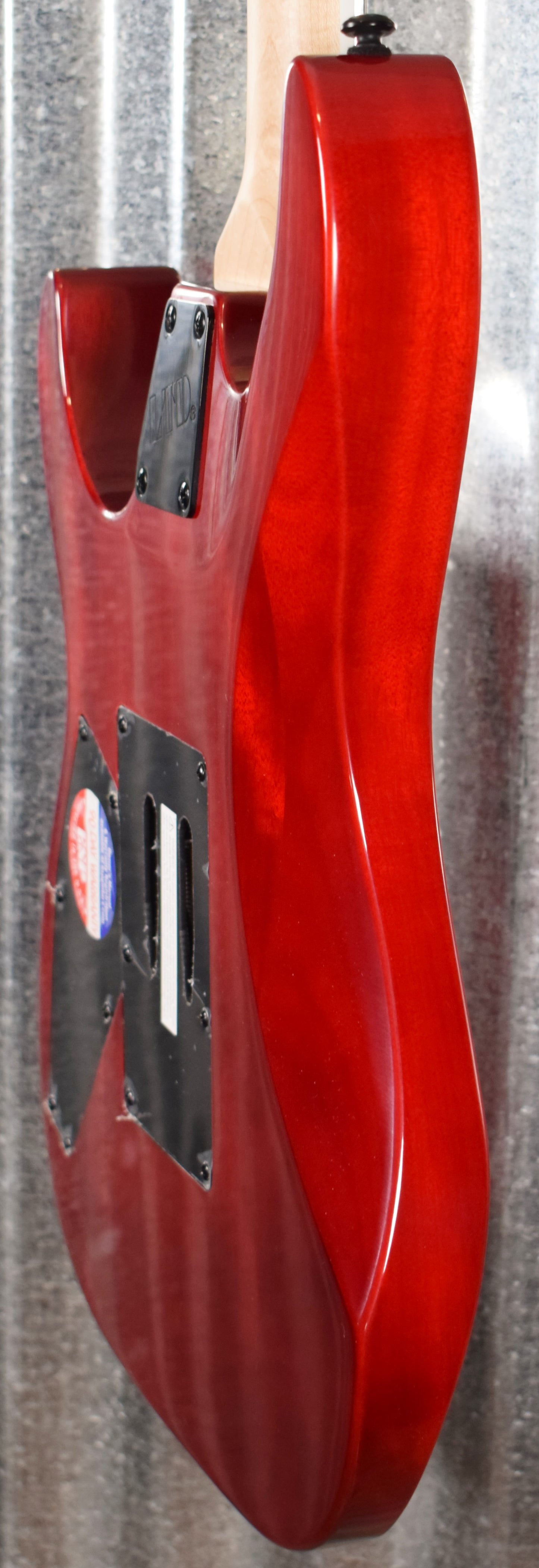 ESP LTD M-200FM See Thru Red Flame Top Guitar LM200FMSTR #0070