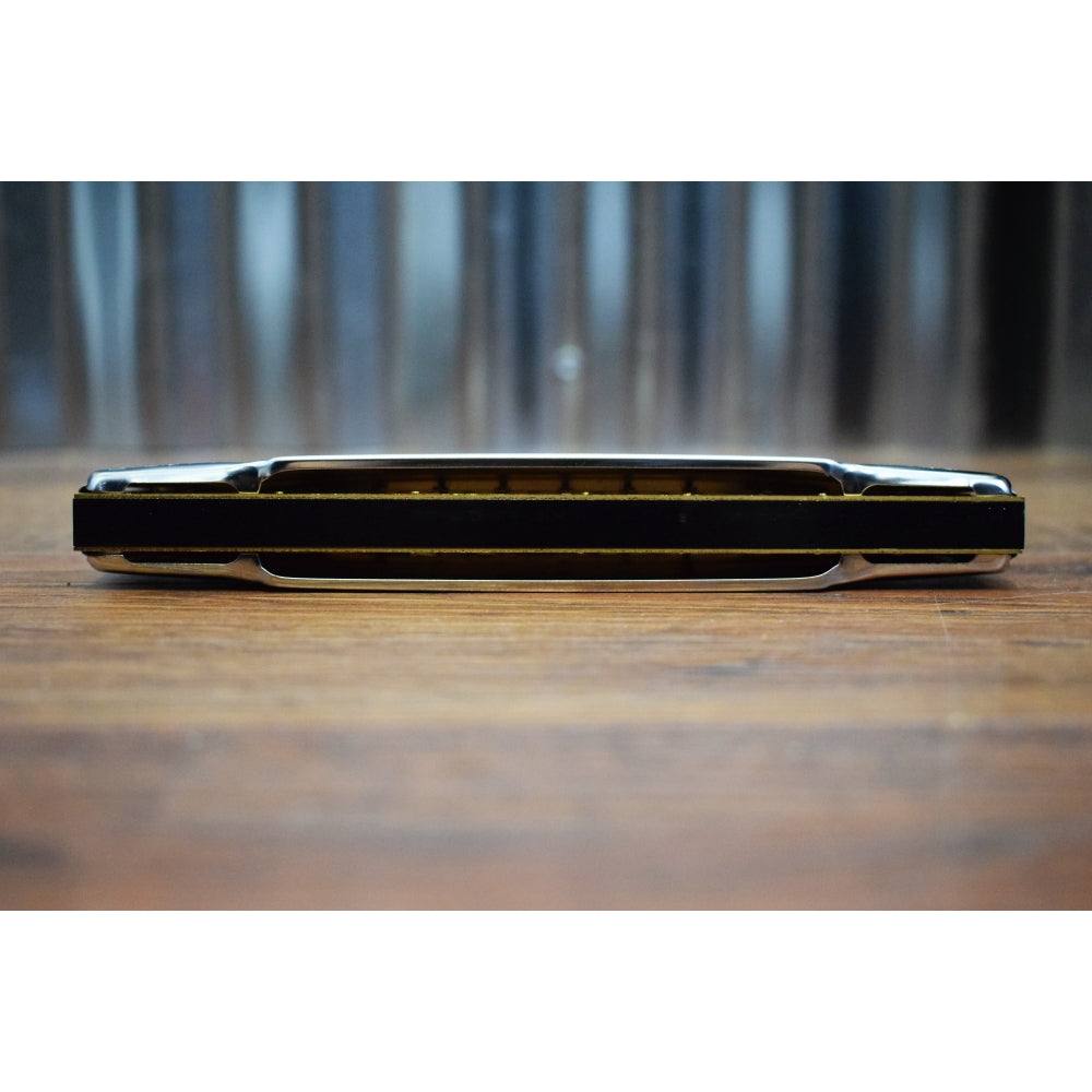 Hohner 1496 Echo 48 Hole Octave Tuned Harmonica Harp 1496/48 M1496017 Key of C