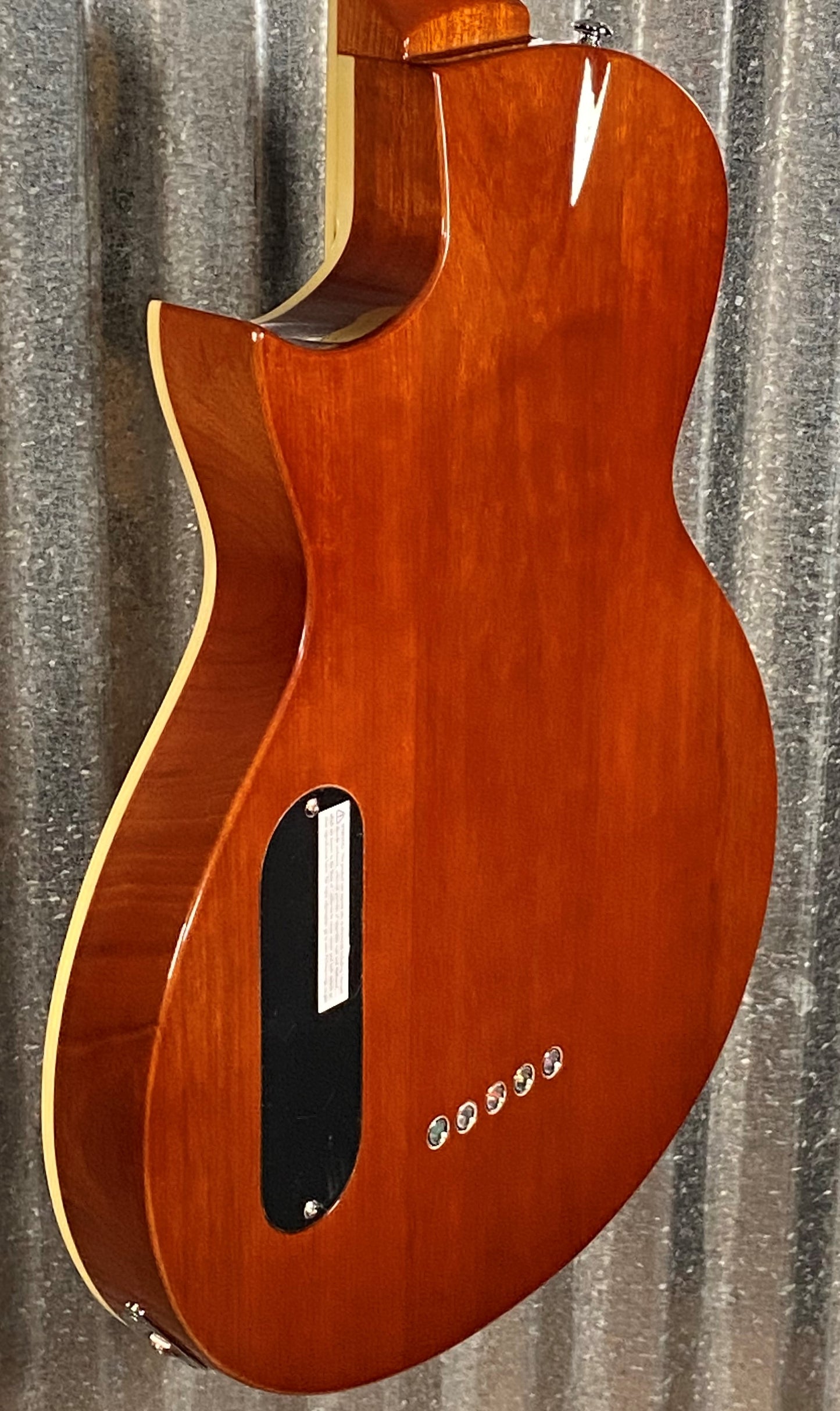 ESP LTD TL-5 Spalted Maple Thinline 5 String Acoustic Electric Bass LTL5SMNAT #0942