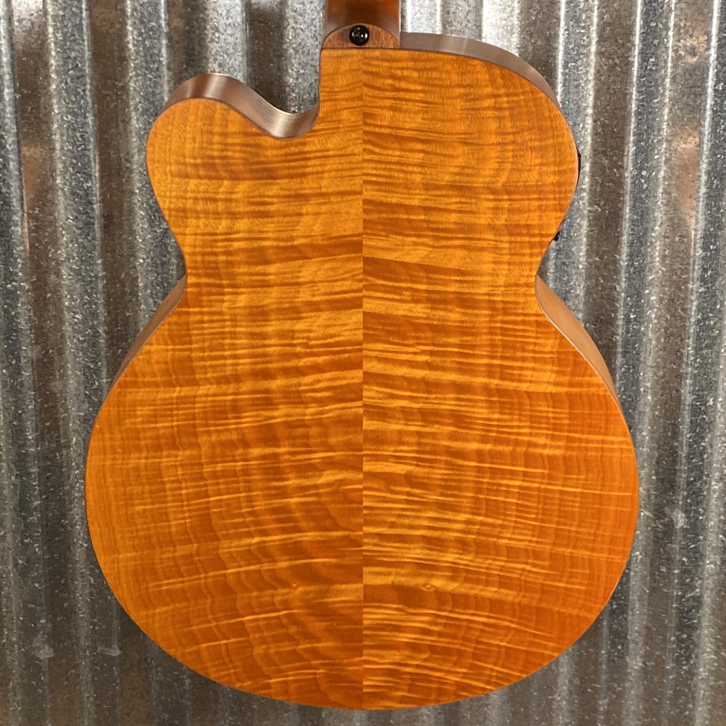 Aria Pro FEB-F2/FL 4 String Acoustic Electric Fretless Bass Brown Stain #0706