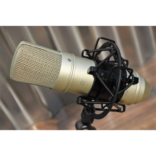 Tascam TM-80 Studio Recording Condenser Microphone & Shock Mount + Stand