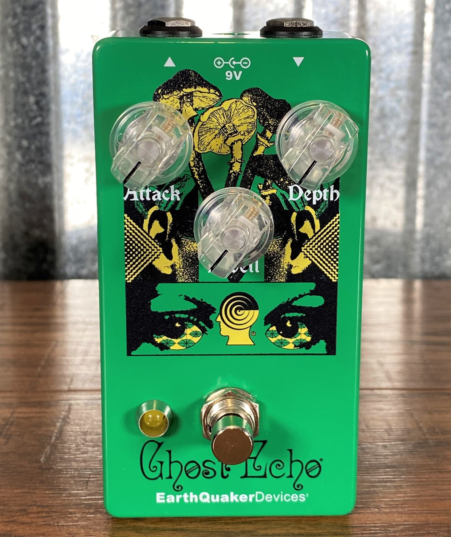 Earthquaker Devices EQD Ghost Echo Brain Dead Limited Edition Reverb Guitar Effect Pedal