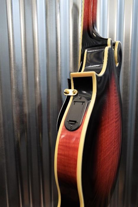Washburn M3SWETWRK Mandolin in Trans Wine Red & Case B Stock #0088