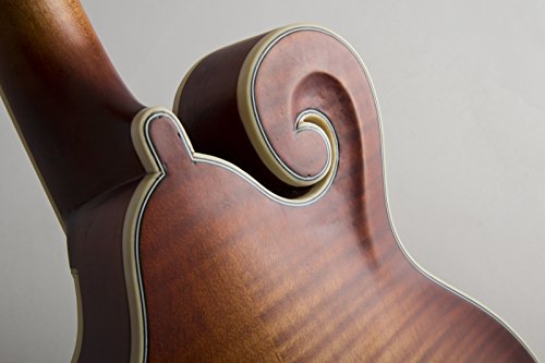 Michael Kelly MKLDFAVS Legacy Dragonfly Flame F Style Mandolin Blemish #0272