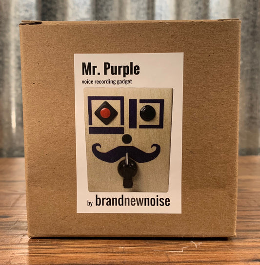 Brandnewnoise Mr Purple Sound Sampler Recorder with Pitch Control Effect Box