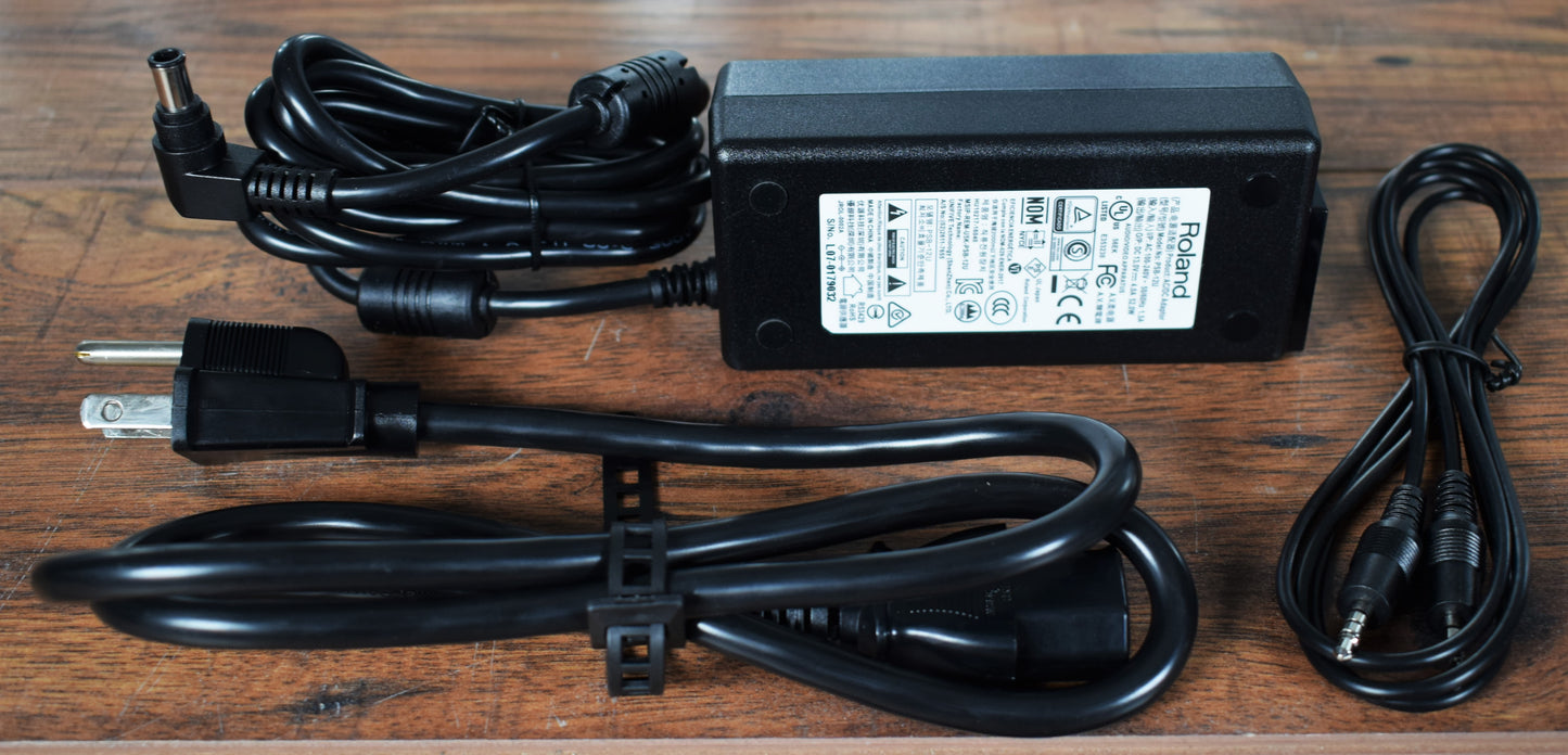 Roland CUBE STREET EX 50 Watt Battery Powered Guitar Vocal Combo Amplifier PA