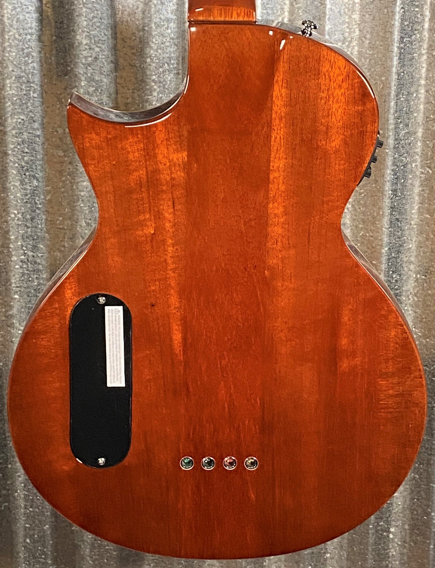 ESP LTD TL-4 Natural 4 String Thinline Acoustic Electric Bass LTL4NAT #2376