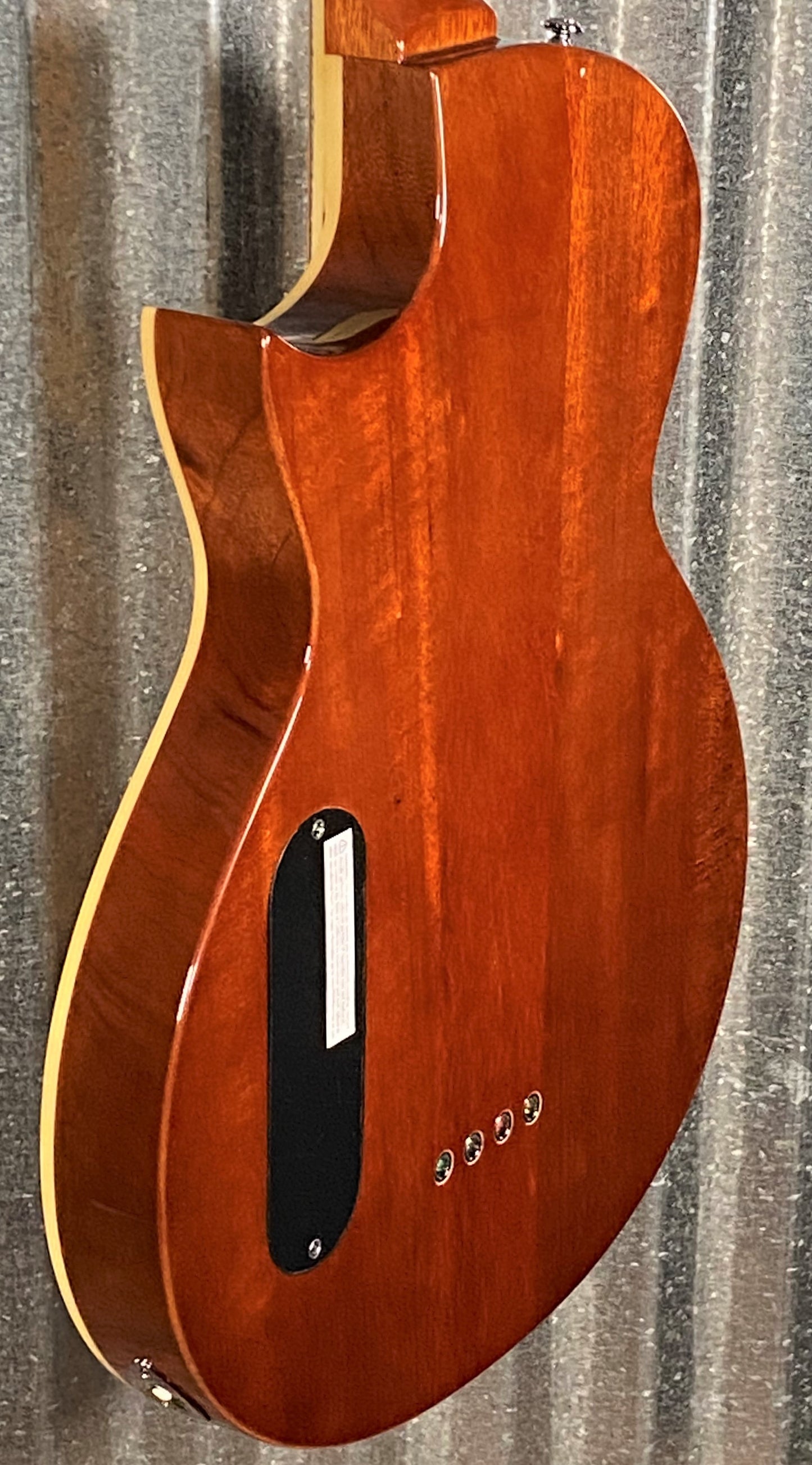 ESP LTD TL-4 Natural 4 String Thinline Acoustic Electric Bass LTL4NAT #2376