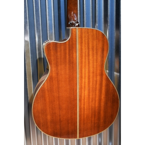 Washburn WCG15CE Comfort Series Acoustic Electric Guitar & Case #0350