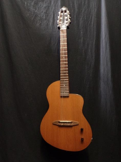 Michael Kelly Rick Turner Renaissance N6 Classical Electric Guitar & Gig Bag #69
