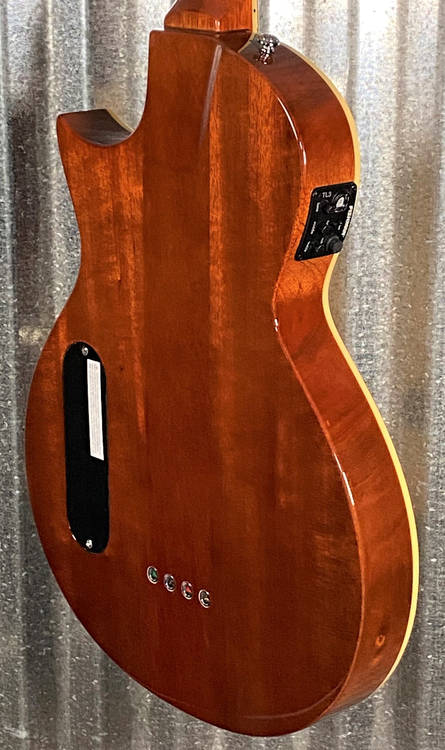 ESP LTD TL-4 Natural 4 String Thinline Acoustic Electric Bass LTL4NAT #2376